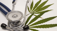 Study Links Genetic Roots of Cannabis Use Disorder to Lung Cancer Risk