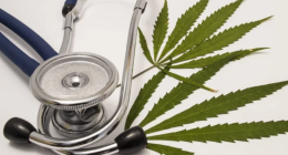 Study Links Genetic Roots of Cannabis Use Disorder to Lung Cancer Risk