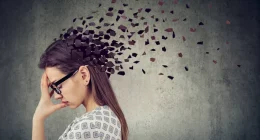 Study Says Cognitive Decline Is Linked to a Reduced Hippocampus Size