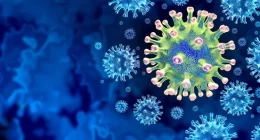 COVID-19's Ripple Effects on Neglected Tropical Diseases