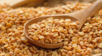 Pulses: A Nutritional Powerhouse Study Reveals