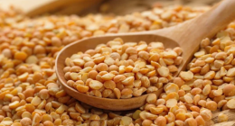 Pulses: A Nutritional Powerhouse Study Reveals