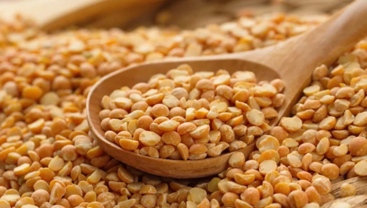 Pulses: A Nutritional Powerhouse Study Reveals