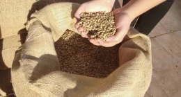 UK's Multifaceted Approach to Combating Global Food Insecurity: A Comprehensive Overview