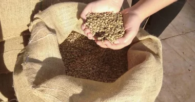 UK's Multifaceted Approach to Combating Global Food Insecurity: A Comprehensive Overview