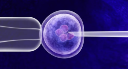 Gene Therapy Targets Early Heart Attack, Stroke Risk