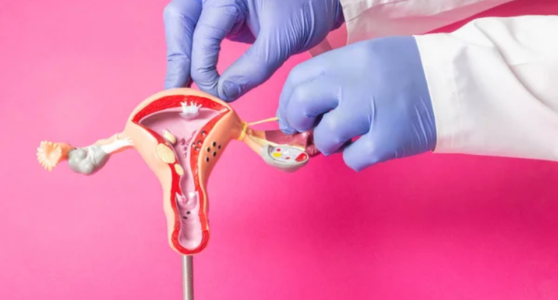 Doctors Warn About Genital Re-Shaping Surgeries