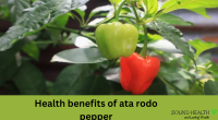 Health benefits of ata rodo pepper (scotch bonnet pepper)