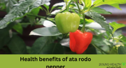 Health benefits of ata rodo pepper (scotch bonnet pepper)