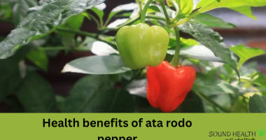 Health benefits of ata rodo pepper (scotch bonnet pepper)