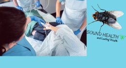 Doctors Perplexed as Man's Colonoscopy Reveals Live Fly