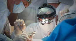 Magnetic Anastomosis Technology Revolutionizes Liver Transplants in Pigs