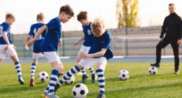 Robust Link Between Physical Fitness and Cerebellar Grey Matter Volume - Study