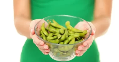 A Vegan Diet with Soybeans May Significantly Reduce Hot Flashes: Exploring the Gut Microbiome Connection