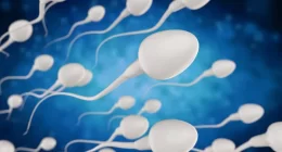 Cylicins Found to be Crucial for Sperm Formation and Fertility -