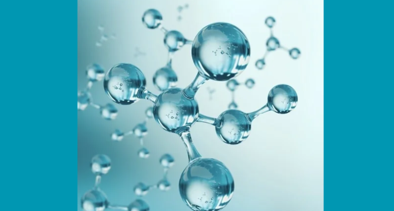 Does Dietary Trans-Vaccenic Acid Enhances Anti-Tumor Immunity?