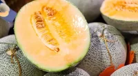 Public Health Alert: Do Not Consume Cantaloupe Due to Salmonella Risk - FDA Warns