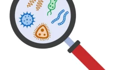 Bacterial Identification Method: Faster, Cheaper, and More Precise Method Found - Study