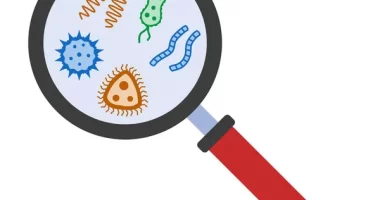 Bacterial Identification Method: Faster, Cheaper, and More Precise Method Found - Study