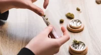 Increase In Cannabis Use and Psychiatric Disorders Scientists find Link