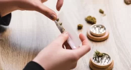 Increase In Cannabis Use and Psychiatric Disorders Scientists find Link