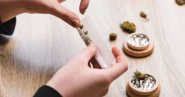 Increase In Cannabis Use and Psychiatric Disorders Scientists find Link