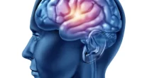Wake Slow Waves Link to Epilepsy and Cognition - Study