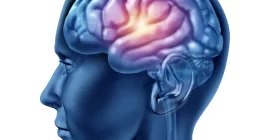 Wake Slow Waves Link to Epilepsy and Cognition - Study