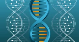 Cadmium Exposure from Particulate Matter Induces DNA Damage and Cell Shape Changes