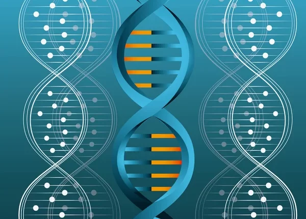 Cadmium Exposure from Particulate Matter Induces DNA Damage and Cell Shape Changes