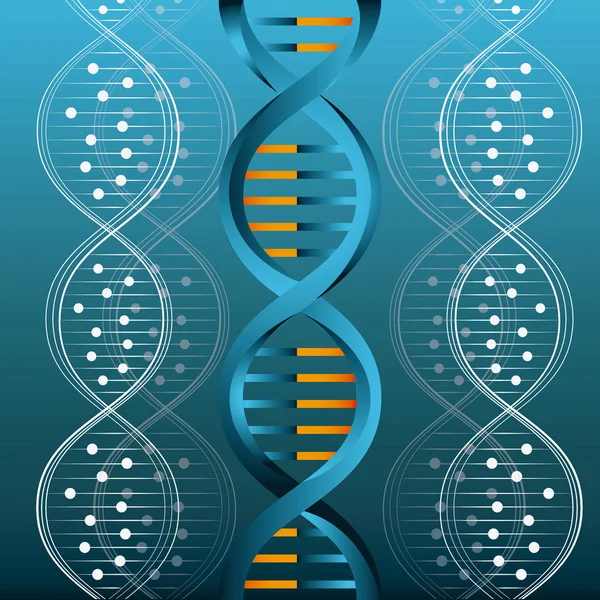 Cadmium Exposure from Particulate Matter Induces DNA Damage and Cell Shape Changes