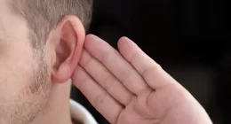 Does tinnitus cause hearing loss in normal hearing individuals?