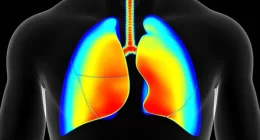 IFNγ Plays Key Role in Reducing Lung Viral Loads in COVID-19