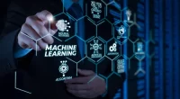 Machine Learning Unveils Key Markers for Healthy Aging, Independent of Chronic Disease Risk