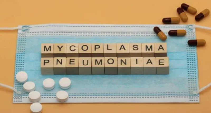 5 Things to Know About Mycoplasma Pneumoniae - Fast Facts