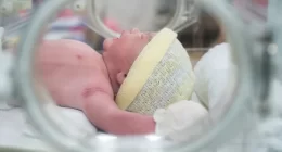 G-CSF May Treat Lung and Eye Diseases in Premature Babies - Study