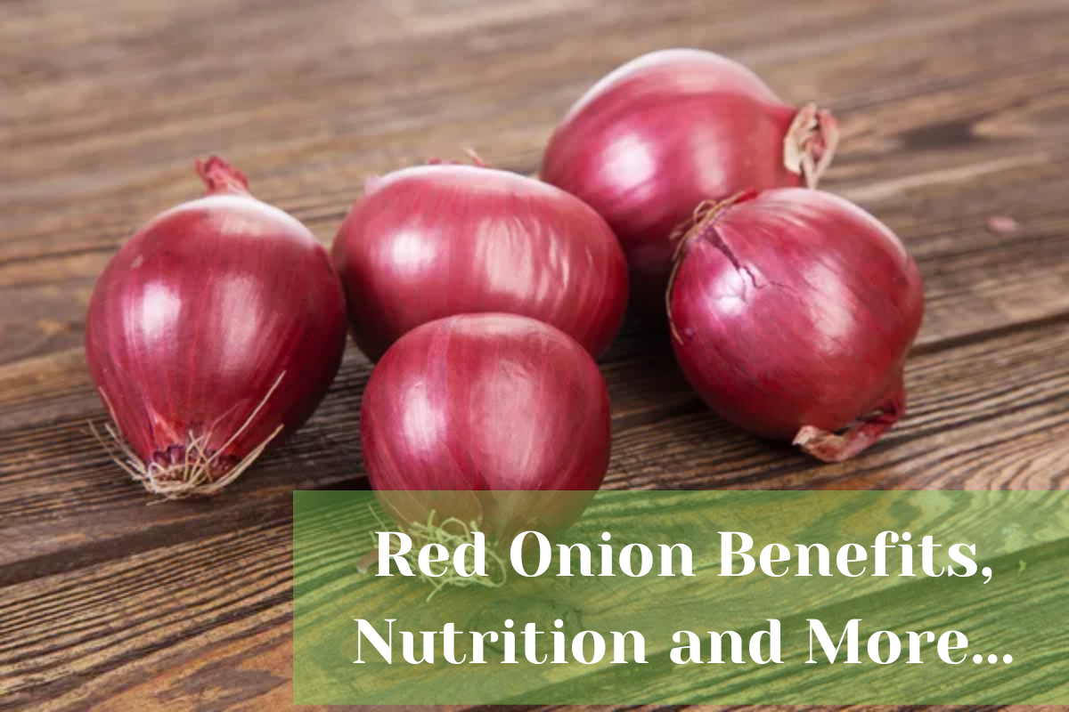 Crimson Onion Advantages, Diet, and Choice and Storage