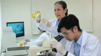 Study reveals new mechanism by which leukemia cells exploit cellular recycling process