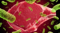 Can Salmonella Infection Kill? Tips to Avoid Catching It.