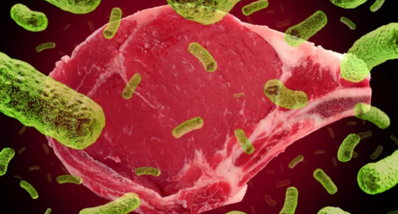 Can Salmonella Infection Kill? Tips to Avoid Catching It.