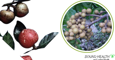 Sweet Protein Alternatives: Health Benefits and Natural Ingredients Key to Promoting Consumer Adoption
