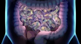 Gut microbiome relationship with brain