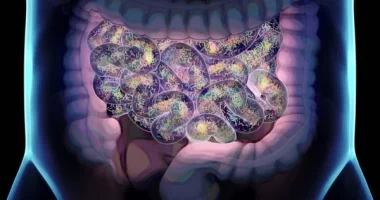 Gut microbiome relationship with brain