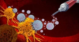 Many cancer patients missing out on immunotherapy - Study