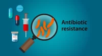 Antibiotic Resistance Crackdown: DNA Sequencing Takes Aim at E. faecium