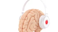 Lifetime Musical Engagement Boosts Brainpower in Later Life