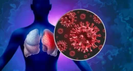 Immunocompromised patients not the main source of new COVID variants, study finds