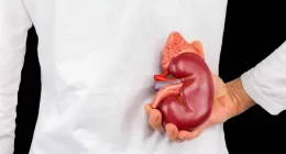 Adolescent Obesity Linked To Early Chronic Kidney Disease In Young Adulthood