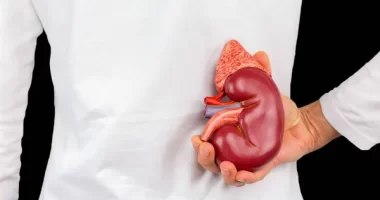 Adolescent Obesity Linked To Early Chronic Kidney Disease In Young Adulthood