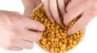 Fried Corn nutrients benefits and down side